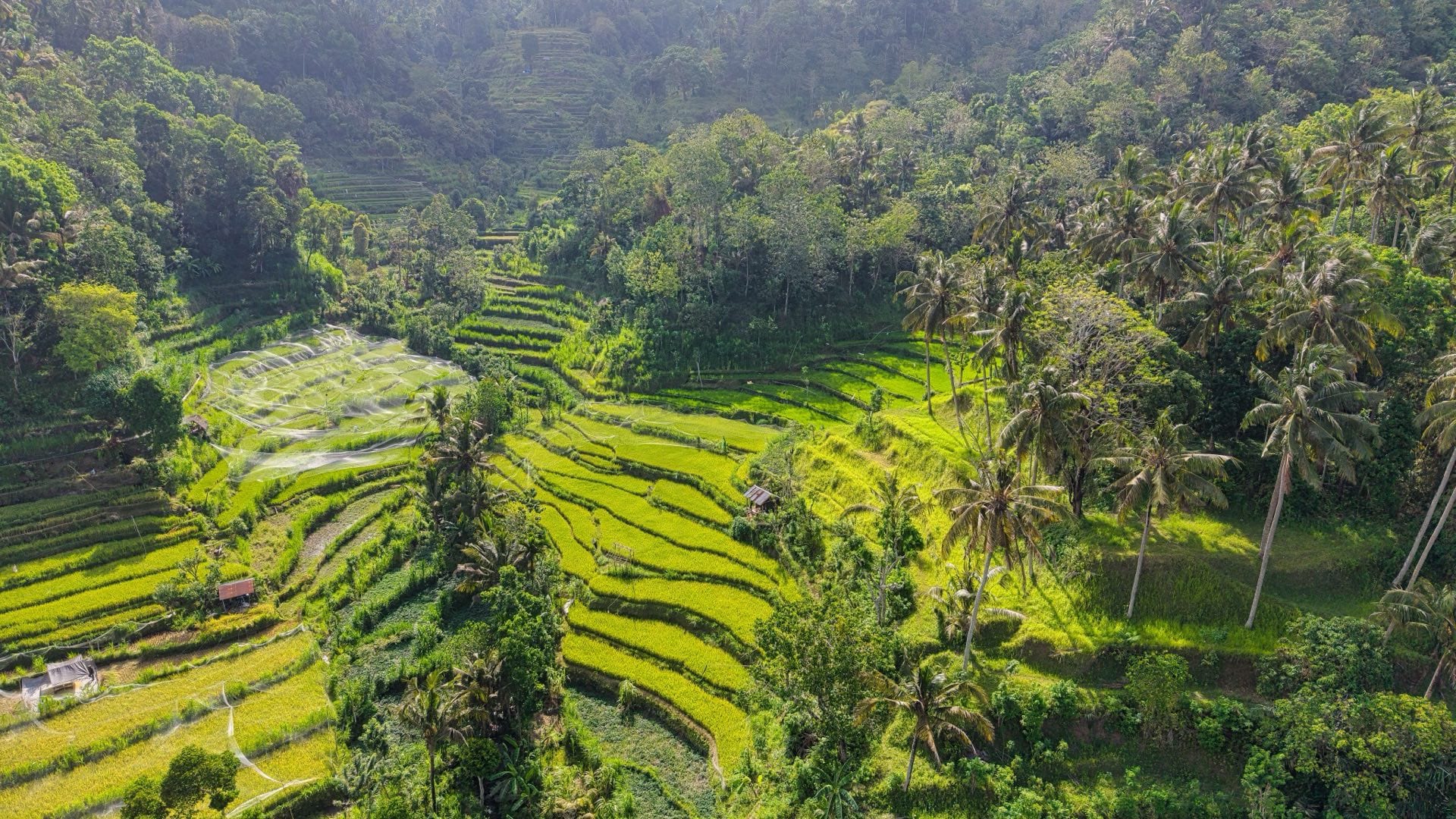 Bali
